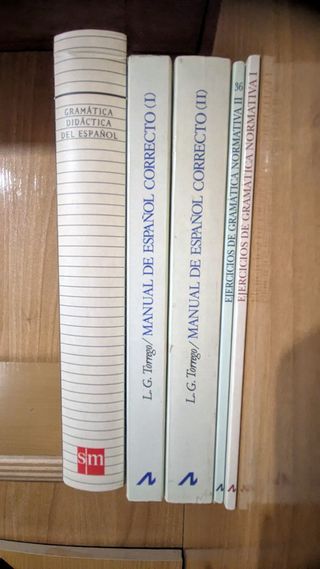 Gramatica didáctica del español