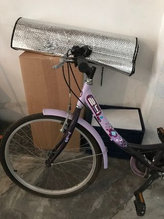 Bicicleta infantil morada