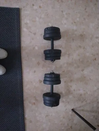2 Mancuernas 10 kg cada una