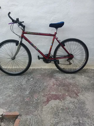 Bicicleta de adulto
