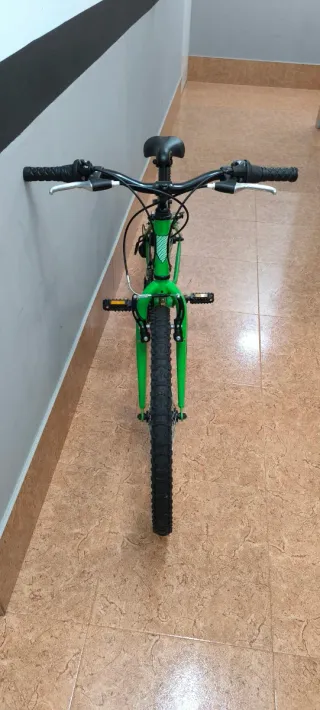 Bicicleta B-PRO Verde