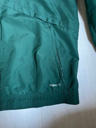 Chaqueta Real Madrid Champions League Adidas Verde