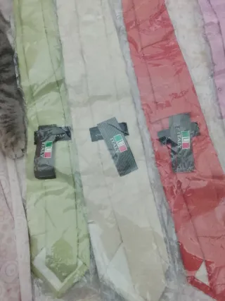 Corbatas Uomo Originales - 5€ Unidad