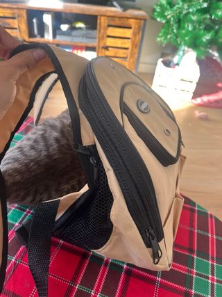 Mochila transportín para gato Arquivet