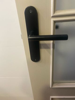 Bisagras y manilla puerta nuevas