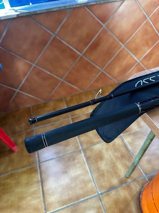 Caña de pescar Tailwalk Rize Shooter S100MH