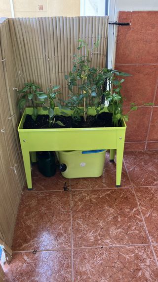 Mesa de cultivo