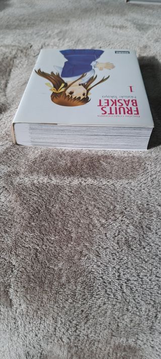 Fruits Basket Edición coleccionista 1 (Spanish ...