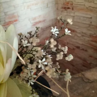 Perola lechera antigua azul