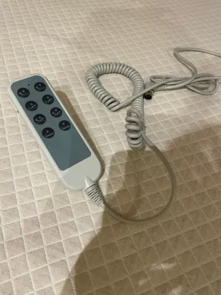 Cama articulada sanitaria con colchón