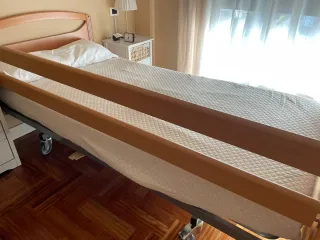Cama articulada sanitaria con colchón