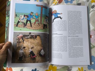 Tintin C'est l'aventure 25 + libro coleccionista