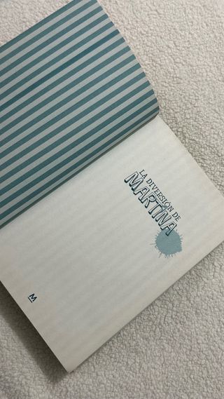 Misterio en el internado (La diversión de Marti...