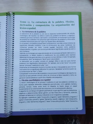 Temas 1-17. Oposiciones Secundaria. Lengua