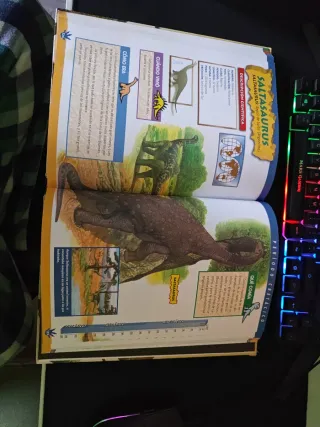 Gran libro de los dinosaurios (Spanish Edition)
