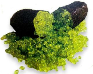 Finger Lime Verde Emerald