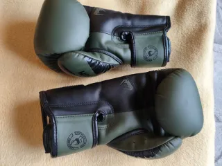 Guantes kick boxing Boxeo Venum elite evo Verde y