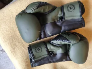 Guantes kick boxing Boxeo Venum elite evo Verde y