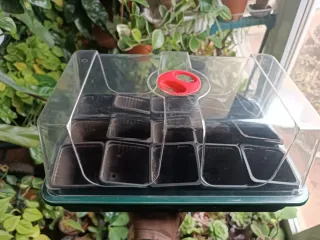 Propagador/invernadero 37'5 cms