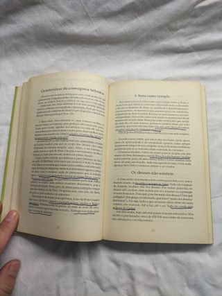 Nem Adão e Eva, nem pecado original uma leitura...