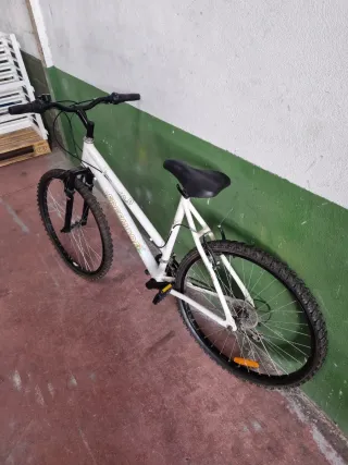 Bicicleta Aluminio Niña