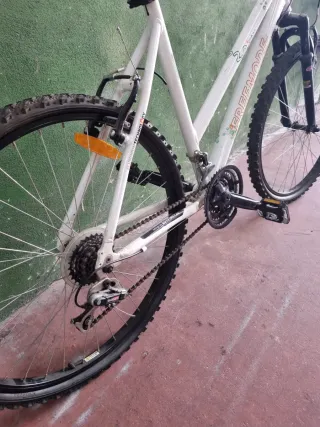 Bicicleta Aluminio Niña