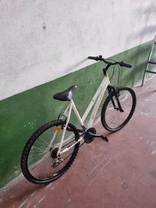 Bicicleta Aluminio Niña