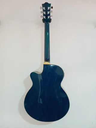 Guitarra Acústica 07USA WS-205 Vendo por mudanza