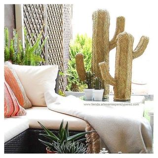 Cactus de esparto natural
