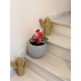 Cactus de esparto natural