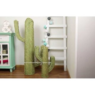 Cactus de esparto natural