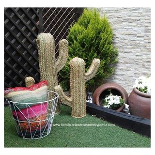 Cactus de esparto natural