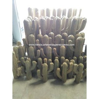 Cactus de esparto natural