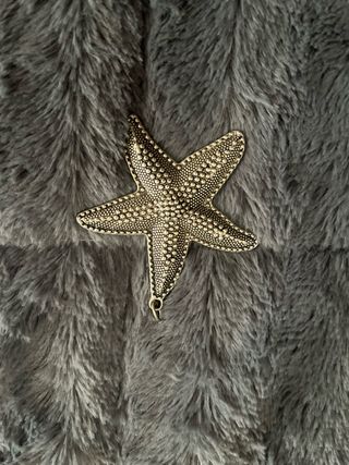 Colgante Estrella de Mar Plateado