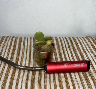 Escape moto Tecnigas homologado ITV