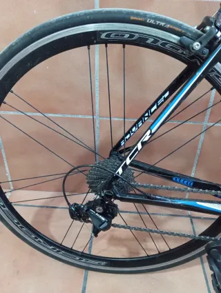 Bicicleta Carretera Giant TCR Talla L