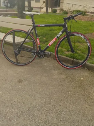 Bicicleta Ditec Carbono