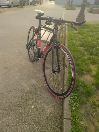 Bicicleta Ditec Carbono