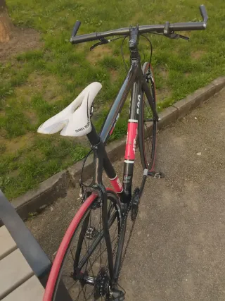 Bicicleta Ditec Carbono