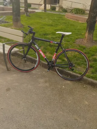 Bicicleta Ditec Carbono