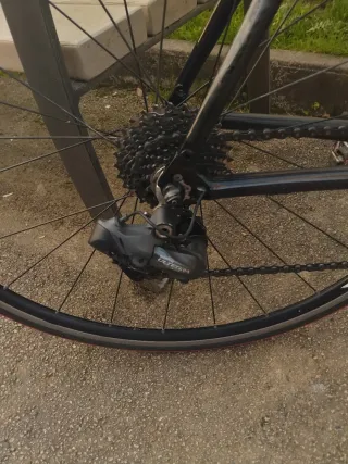 Bicicleta Ditec Carbono