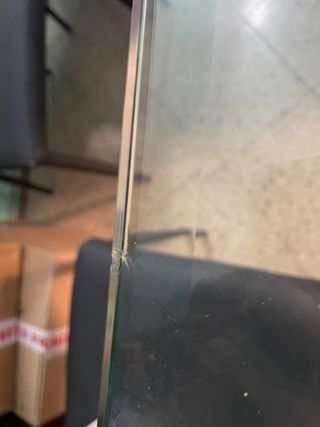 Mesa de mármol italiano y cristal precio negociabl