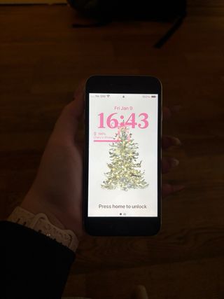 iPhone SE 100% Batería Plata