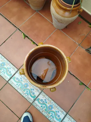 Tinaja de barro antigua con 4 asas