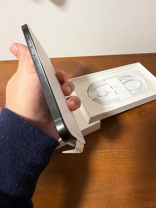 iPhone 16 Pro Max 256GB 100% Batería