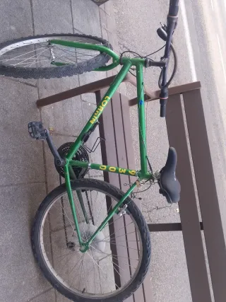 Bicicleta Lorrin Downhill Verde