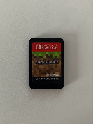 Minecraft Nintendo Switch