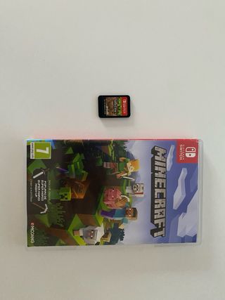 Minecraft Nintendo Switch