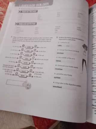 Teamwork 3 Eso Basic Practice