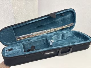 Instrumentos Musicales Violin Carlo Giordano Vs -0 4 /4